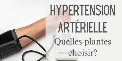 Hypertension artérielle: quelles plantes choisir